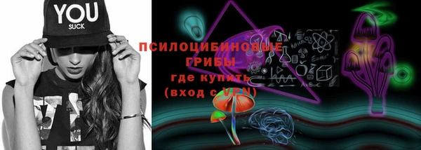 мяу мяу мука Лабытнанги