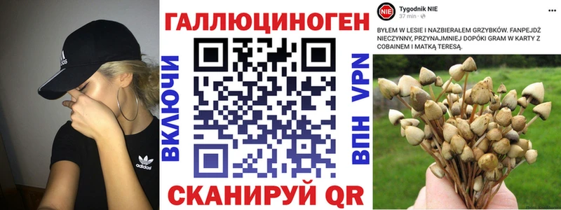 blacksprut маркетплейс  Спас-Клепики  Галлюциногенные грибы Magic Shrooms  даркнет сайт 